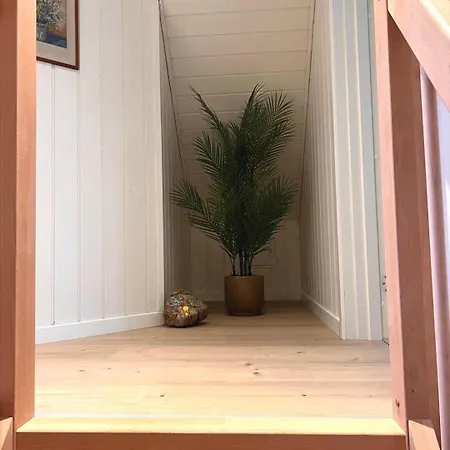 Semesterbostad 0132-romo-kap-farvel-12