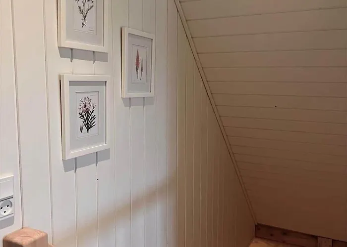 0132-romo-kap-farvel-12