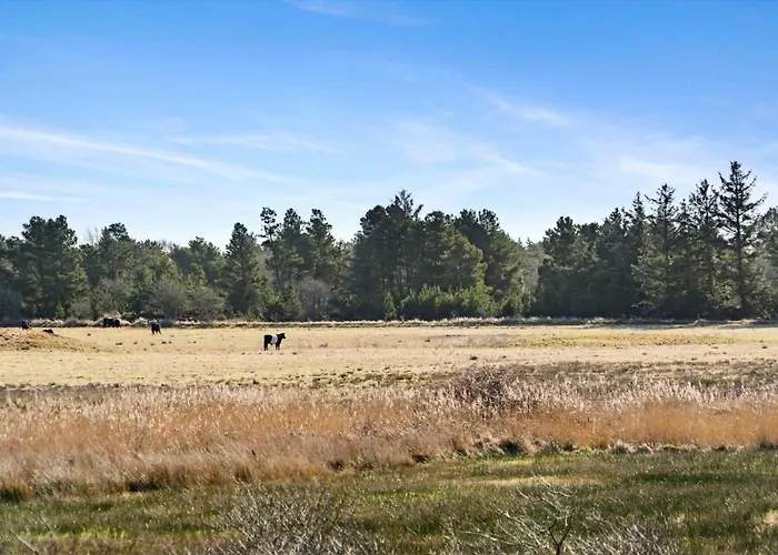 0132-romo-kap-farvel-12